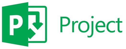 Microsoft Project Professional 2019 (5 PC)