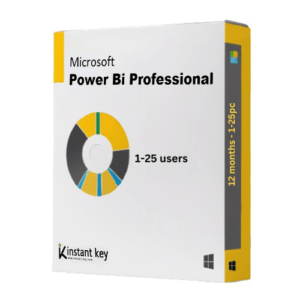 Power BI Pro (1 Year)