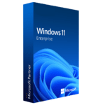 Windows 11 Enterprise (5pc)