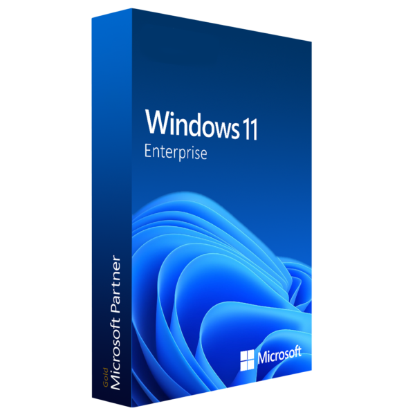 Windows 11 Enterprise (5pc)